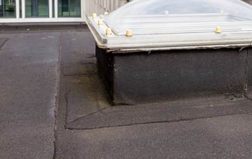 disadvantages of Luxborough flat roofs