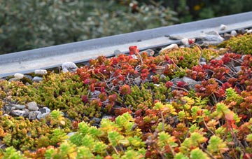 the cost of Luxborough green roof installation