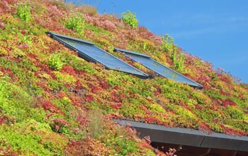 Luxborough living roof systems