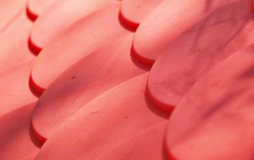 Luxborough plastic roof costs