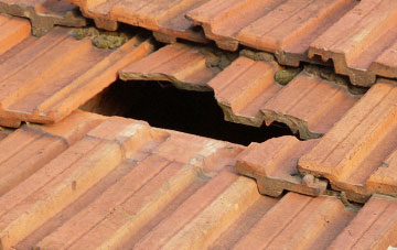roof repair Luxborough, Somerset